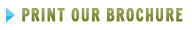 Click here to Print the Bridges Of NY Brochure